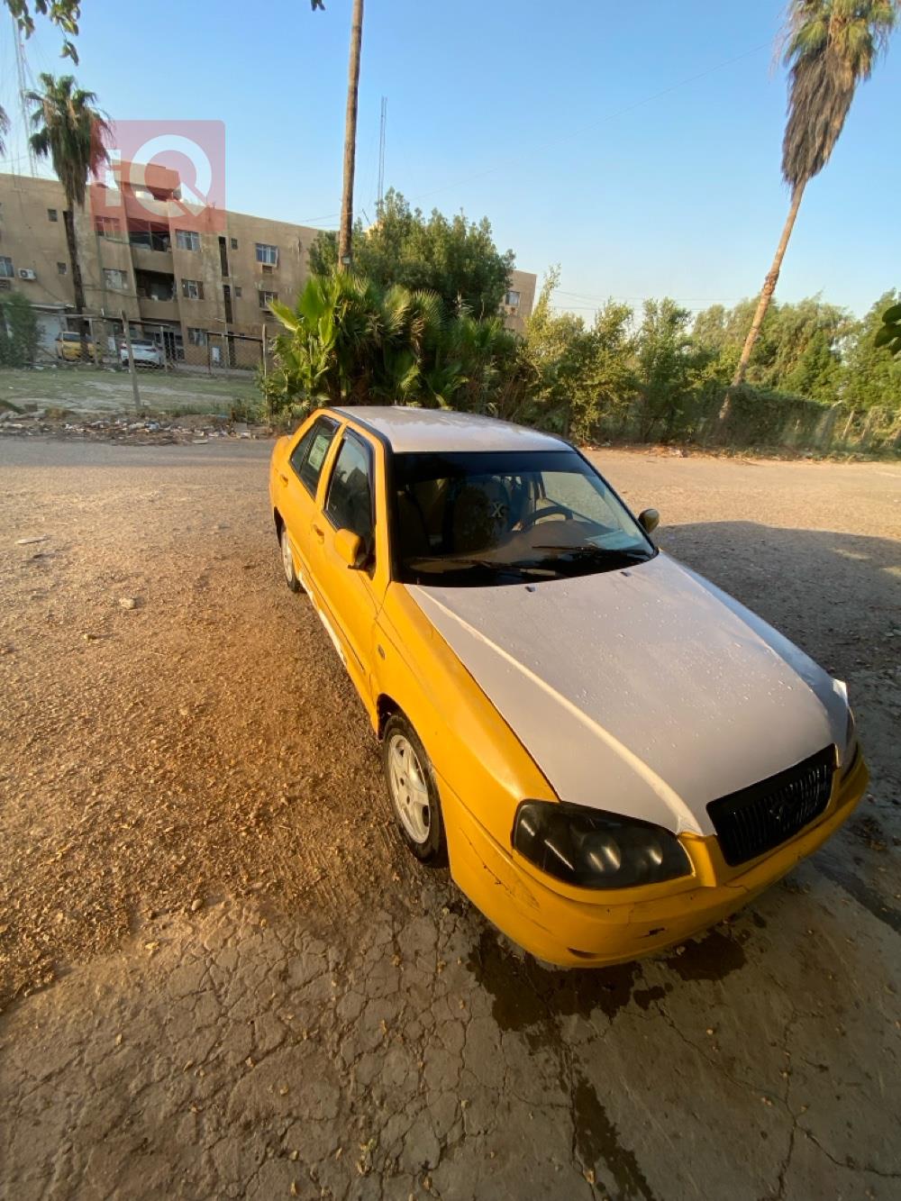 شيري كوين